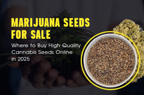 buy thc products